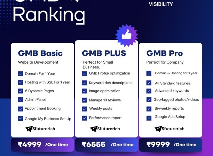 Boost Your Business Visibility with GMB Ranking